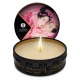SHUNGA - masážní svíčka s vůní okvětních lístků růže 30ml